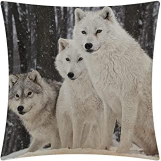Recensioni di cuscini per letto decorativi