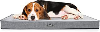 Recensioni di lettino cane