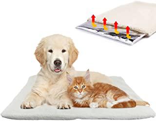 Recensioni di letto gatto