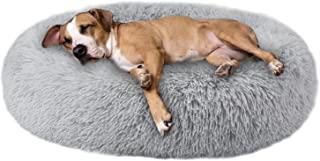 Recensioni di pouf per cani