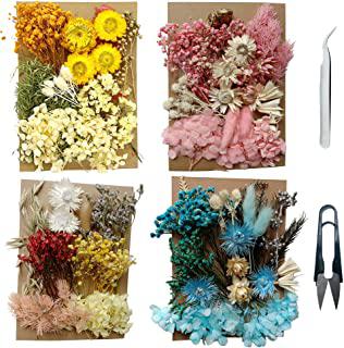 Recensioni di quadri con fiori secchi pressati