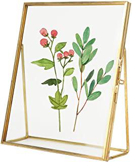 Recensioni di quadri con fiori veri