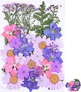 Recensioni di quadri fiori secchi