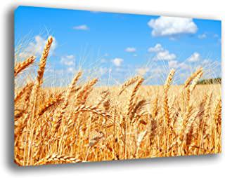 Recensioni di quadro campo di grano