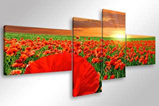 Recensioni di quadro campo di papaveri