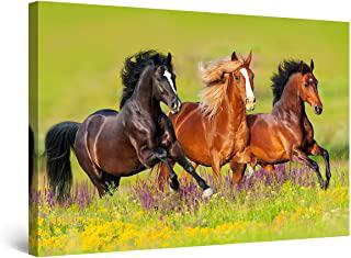 Recensioni di quadro cavallo