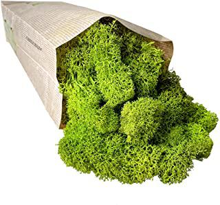 Recensioni di quadro giardino verticale