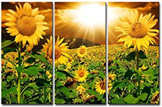 Recensioni di quadro girasoli van gogh