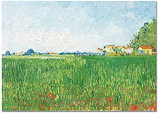 Recensioni di quadro papaveri