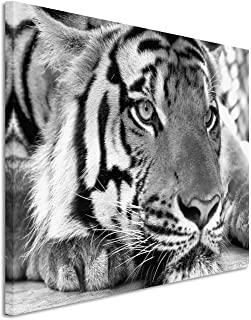 Recensioni di quadro tigre