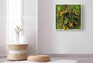 Recensioni di quadro vegetale
