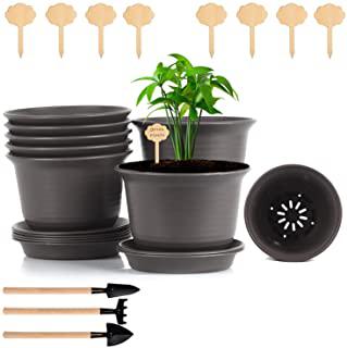 Recensioni di vasi con bottiglie di plastica