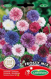Recensioni di aiuola fiori giardino perenni