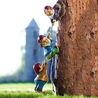 Recensioni di alberi da giardino