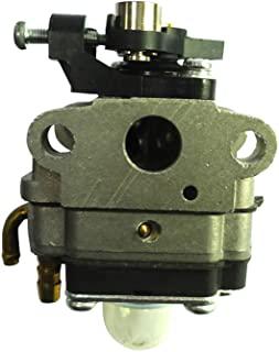Recensioni di carburatore per decespugliatore