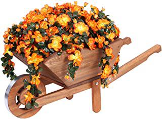 Recensioni di carriola da giardino