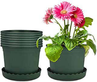 Recensioni di fioriera da interno per orchidee