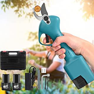 Recensioni di forbici da giardino