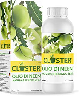 Recensioni di insetticida closer