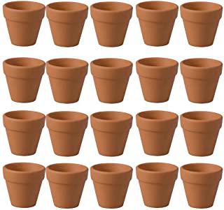 Recensioni di mini giardino in vaso