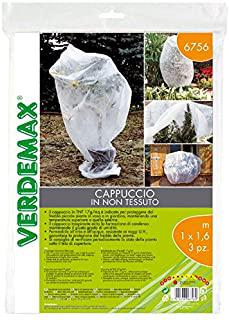 Recensioni di piante da giardino in vaso