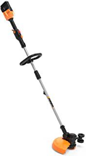 Recensioni di worx tagliabordi