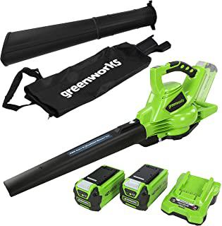 Recensioni di aspiratore foglie a batteria