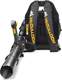 Recensioni di aspiratore foglie professionale