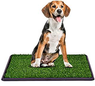 Recensioni di tappetini igienici per cani