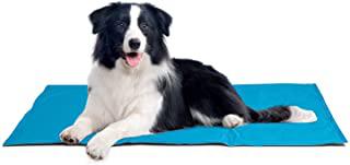 Recensioni di tappetini rinfrescanti per cani